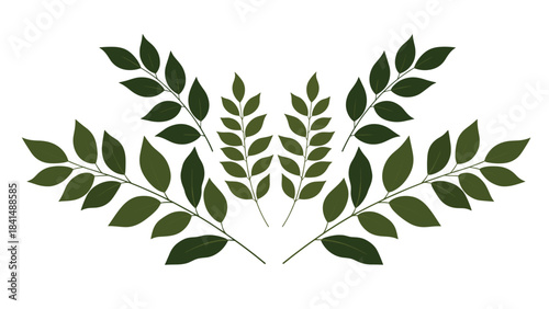 Green leafy branches with multiple leaves for design and decoration purposes easily