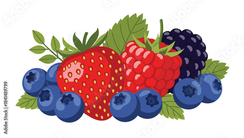 Colorful illustration of mixed berries including strawberries blueberries and blackberries for healthy eating and nutrition concepts