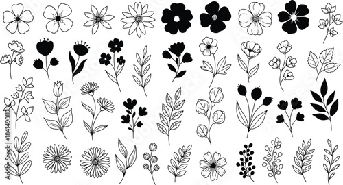 A collection of hand-drawn floral elements and botanical illustrations, perfect for design projects