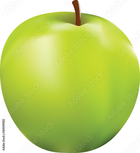Vector art of a vibrant green apple with a brown stem 