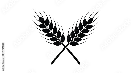 Two wheat stalks crossed creating a symmetrical black and white design