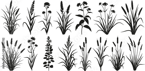 Grass and wildflower silhouettes set, botanical vector illustration of natural plants, leaves, stems, meadow flora icons for design projectsGrass and wildflower silhouettes set, botanical vector 