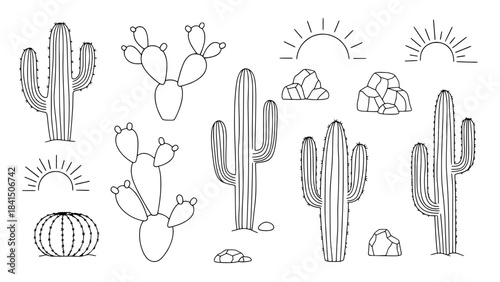Desert Plants Vector Pack Cactus and Sun Illustrations