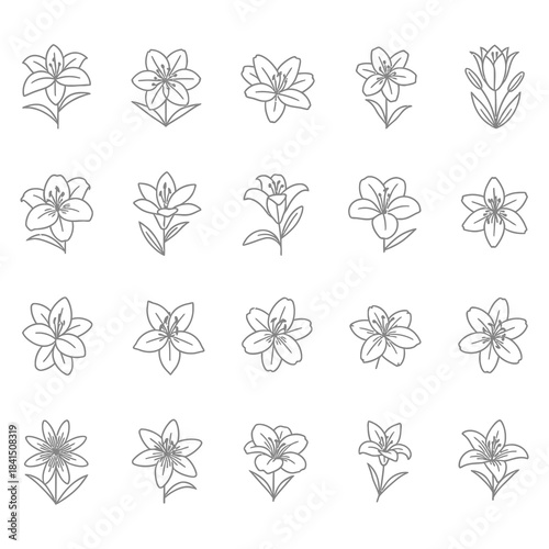 Collection of Silhouetted Flower Icons for Design and Decoration
