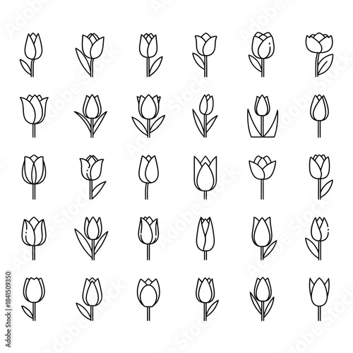 Collection of Silhouetted Flower Icons for Design and Decoration