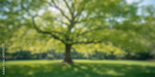 Fototapeta Naklejka Na Ścianę i Meble -  Bokeh effect from tree background in a summer garden with abstract green light patterns, suitable for nature-themed layout backgrounds