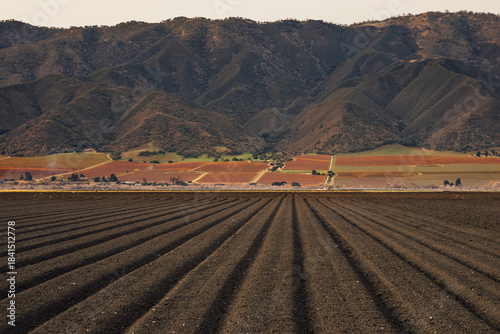 plowed field in winter