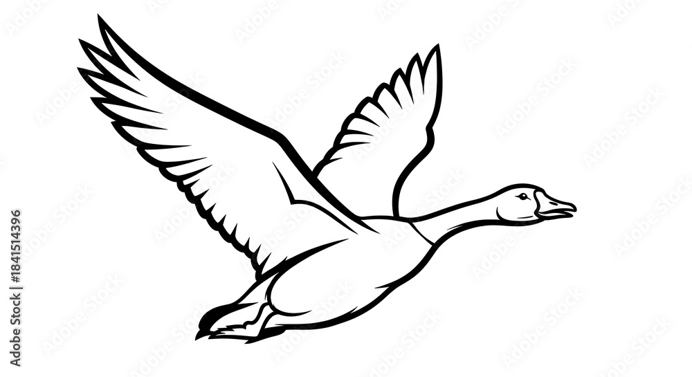 Obraz premium Elegant Duck in Flight - A Detailed Black and White Illustration.