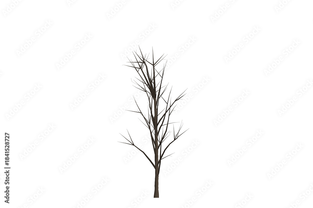 Fototapeta premium Isolated tree silhouette on a white background showcasing branches and natural growth