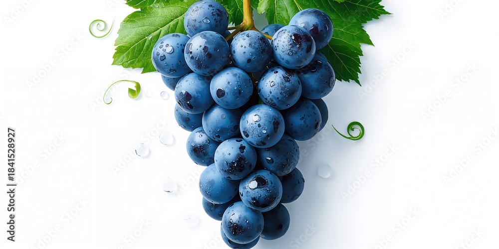 Fototapeta premium Blue grape cluster with leaves isolated on background, suitable for labeling and packaging layouts
