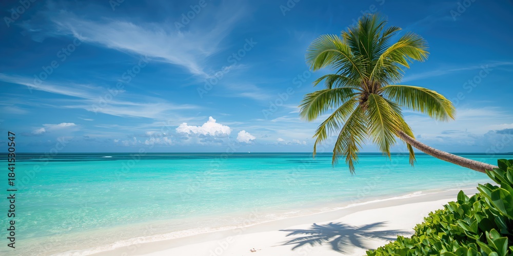 Obraz premium Vast blue green ocean and sky scene used as editorial header background, Earth Day