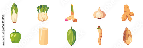 vegetables, big assorted set with endive, fennel, galangal, garlic, ginger, green bell pepper, hearts of palm, horseradish, ivy gourd, jerusalem artichoke