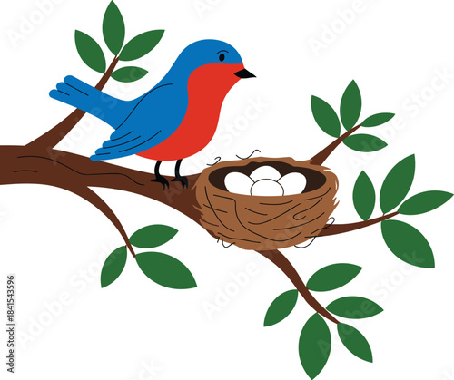 Colorful blue and red bird perched on tree branch, watching nest with eggs, vibrant nature illustration showing wildlife, spring season, peaceful forest scene