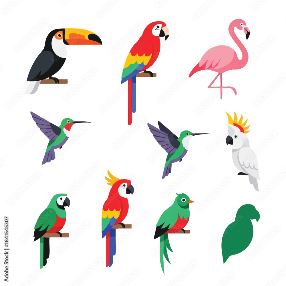 Fototapeta premium Colorful tropical bird icons are featured in this simple modern vector illustration set, rendered in a bright flat 2D style and isolated on a clean white background.