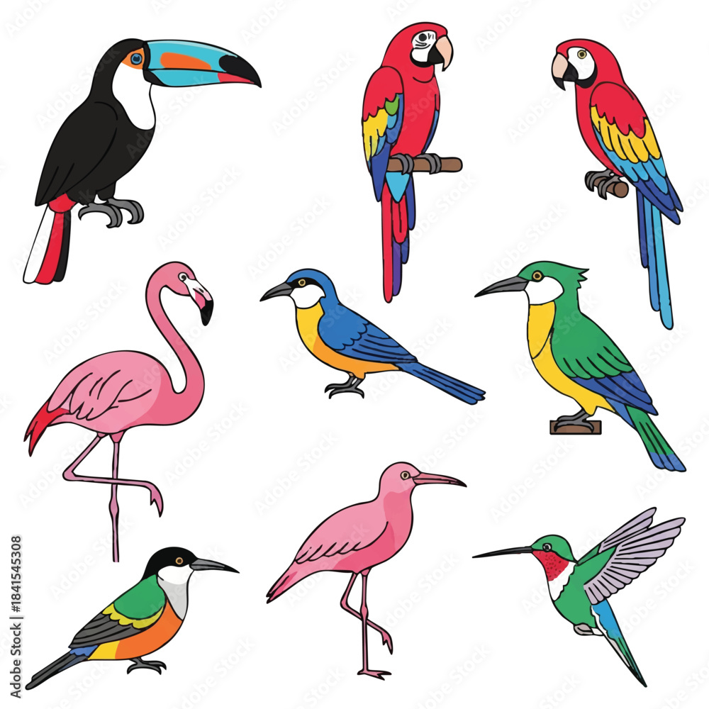 Fototapeta premium A vibrant collection of colorful exotic tropical birds, rendered in a clean 2D flat vector style, showcasing diverse bright plumage isolated against a pure white background.