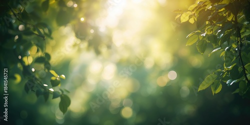 Scenic natural setting with soft-focus background, suitable for editorial headers