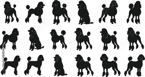 Black Poodle Dog Silhouettes Set, Vector Collection of Various Poses for Grooming, Pet, Fashion, and Animal Design Elements
