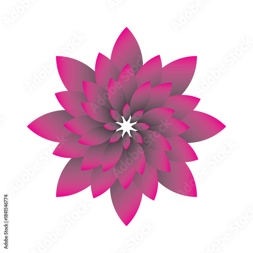 Layered Pink Flower with White Center in Radial Symmetry
