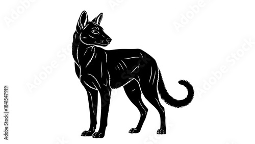 Shepherd dog black and white vector isolated on white background depicting a loyal canine, a watchful companion with pointed ears and curly tail