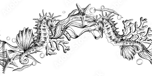 Seamless border pattern with hand drawn seahorse, starfish, sea bubbles, coral, shell, underwater world ornament, graphic sketch, for marine life design. Outline graphic illustration