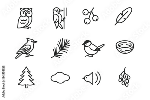 Winter Forest Bird Icons. Forest birds in winter. Line outline icon set of Forest birds in winter: owl,