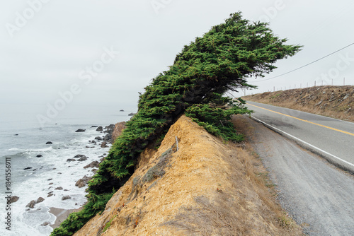 the road to the sea