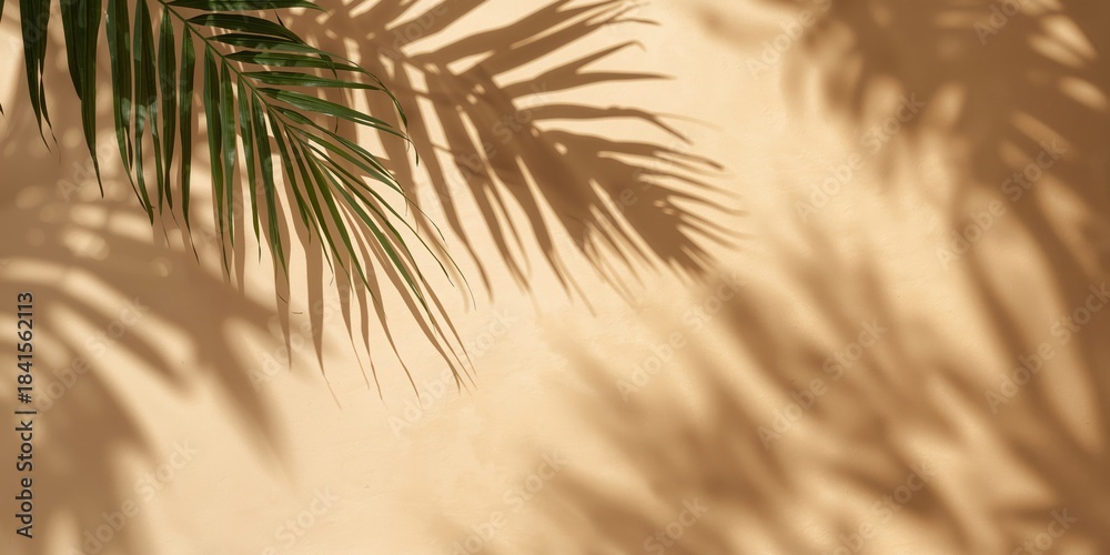 Fototapeta premium Exotic palm leaves shadows on beige paper background, lush silhouettes texture, abstract defocused backdrop for product placement, Background for text and layout