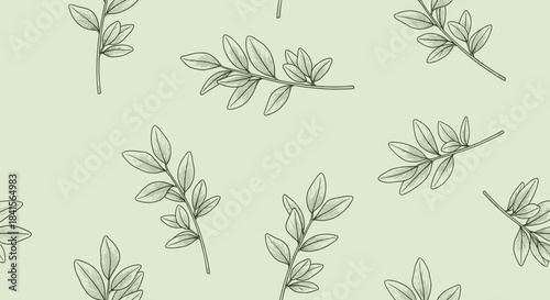 Seamless pattern of hand drawn olive branches on a light green background, creating a simple and elegant design for various creative projects