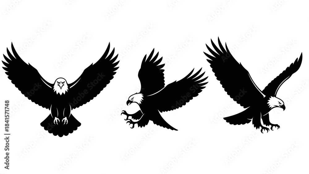 Fototapeta premium Stunning black and white bald eagle silhouettes capturing powerful flight and hunting moments for dynamic branding