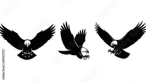 Stunning collection of three fierce bald eagles in dynamic flight poses, perfect for powerful branding or patriotic designs