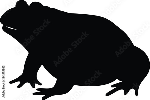 Amphibian Toad Silhouette Sitting Quietly with a Distinctive Bumpy Body Shape