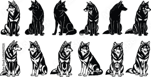 Black Wolf Silhouette and Detailed Illustration Vector Set with Sitting Timber Wolves in Various Poses for Wildlife, Canine, and Tattoo Design