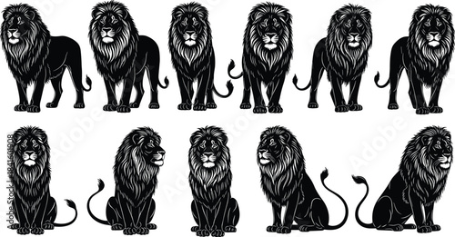 Lion Black Silhouette Vector Set with Male Lions in Standing and Sitting Poses for African Wildlife, Roaring Big Cat, and Safari Design