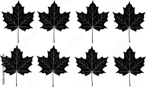 Repeating pattern of highly detailed black maple leaf silhouettes, vector set for fall, nature, seasonal, and Canadian design concepts.