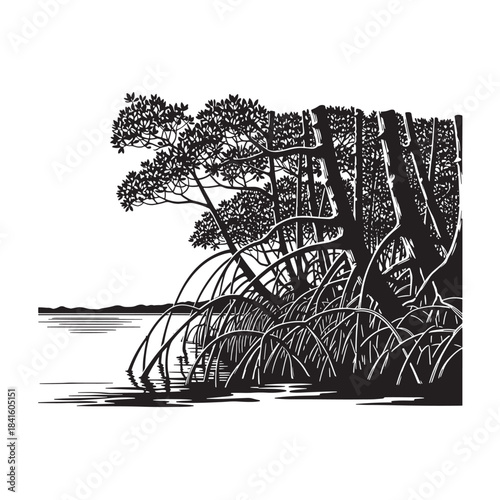 Mangrove forest ecosystem with roots in water, black and white woodcut style vector illustration