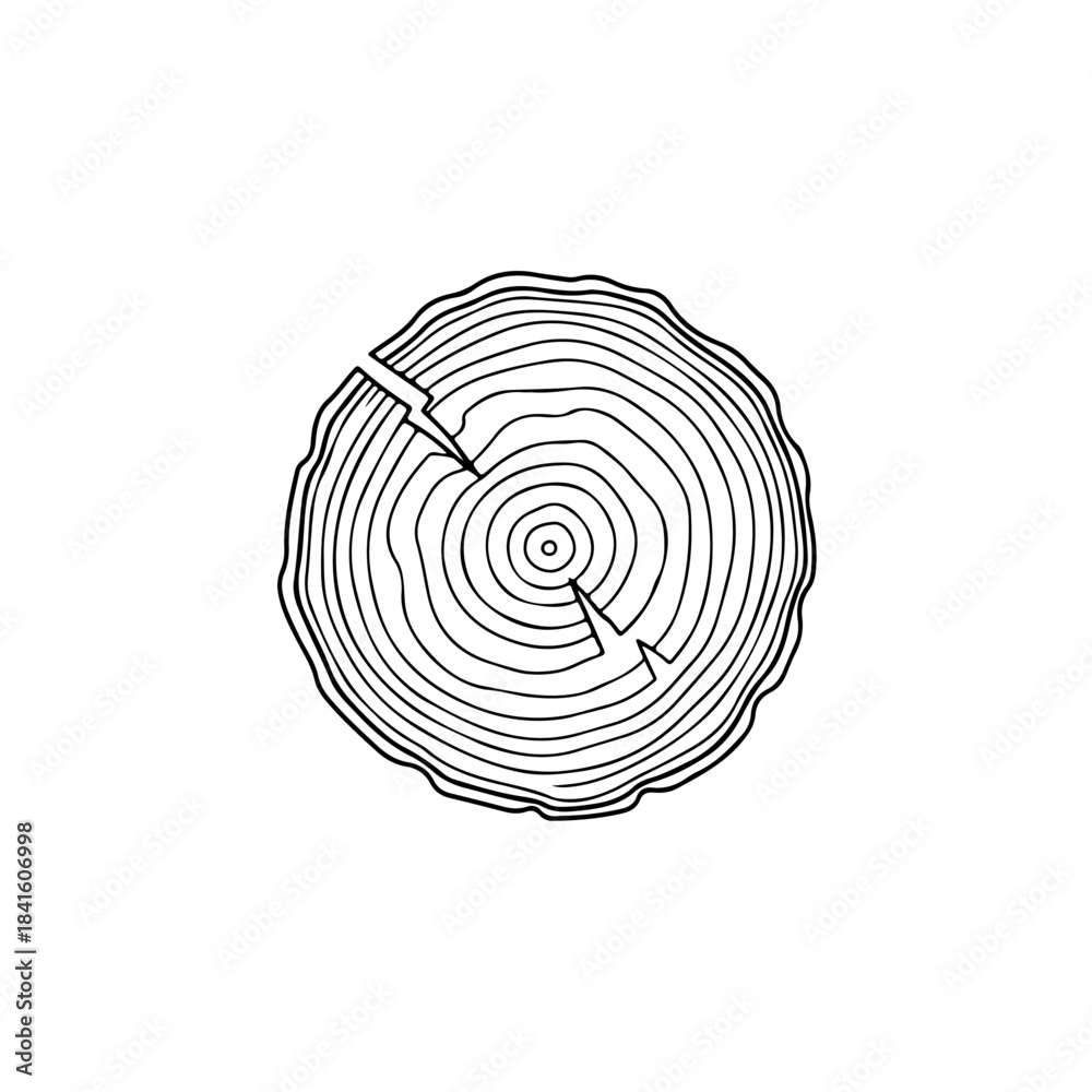 Fototapeta premium Black and white line art illustration of a tree trunk cross section showing annual growth rings and cracks isolated on transparent background