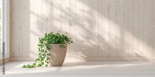 Hedera Helix, common ivy growing in a pot viewed from the side, suitable for background use