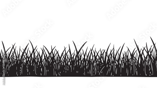 Hand drawn natural grass silhouette border design element illustrating a beautiful spring or summer meadow lawn landscape