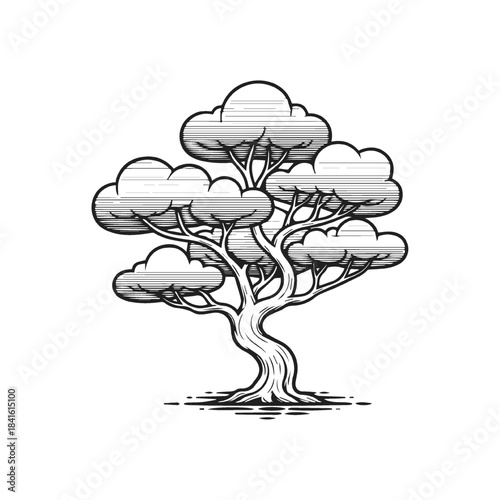 Stylized Bonsai Tree Design Illustration