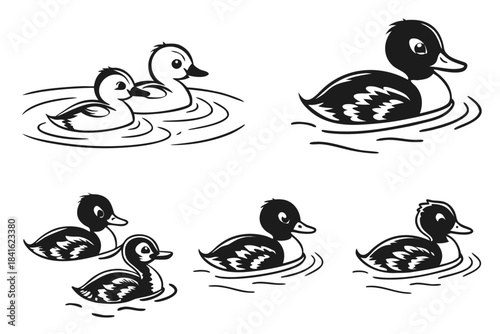 Duckling Illustrations: A collection of charming cartoon ducklings swim gracefully on water. The illustrations bring a sense of simplicity and joy.
