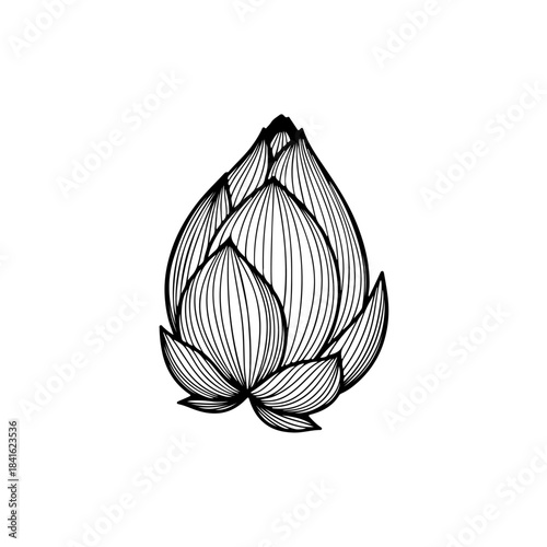 A detailed black and white line art illustration of a stylized artichoke bud isolated on transparent background