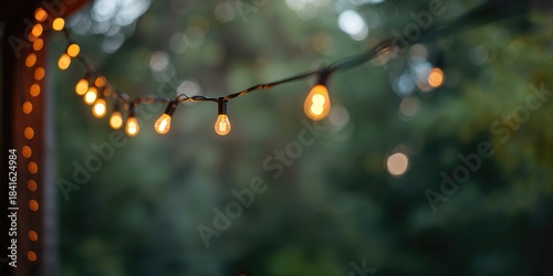 Close-up of outdoor garland...