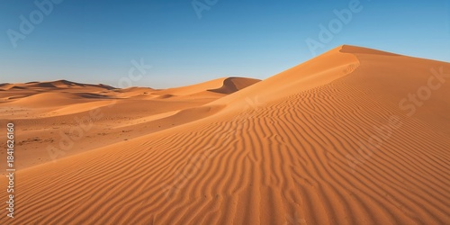 Green desert landscape with natural textures used as a background for environmental awareness day