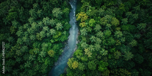 Aerial view of a lush green...