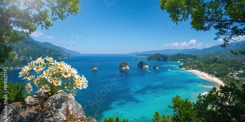 Edelwis flower against a wa...