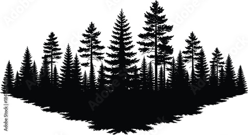 Pine and Fir Trees Forest Silhouette Vector Illustration, Black Coniferous Woodland Landscape Panorama, Nature Wilderness Outdoors Background, Spruces on the Horizon, Wild Woods Graphics.
