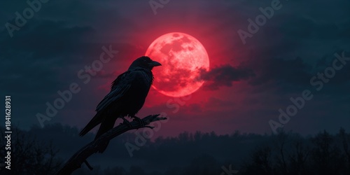 A black crow resting on a t...