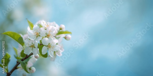 Spring blossoms with vibran...