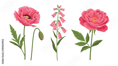 Collection of pink flowers including peony, lupine, and another blossom on green stems with leaves