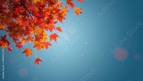 Colorful fall foliage desce...